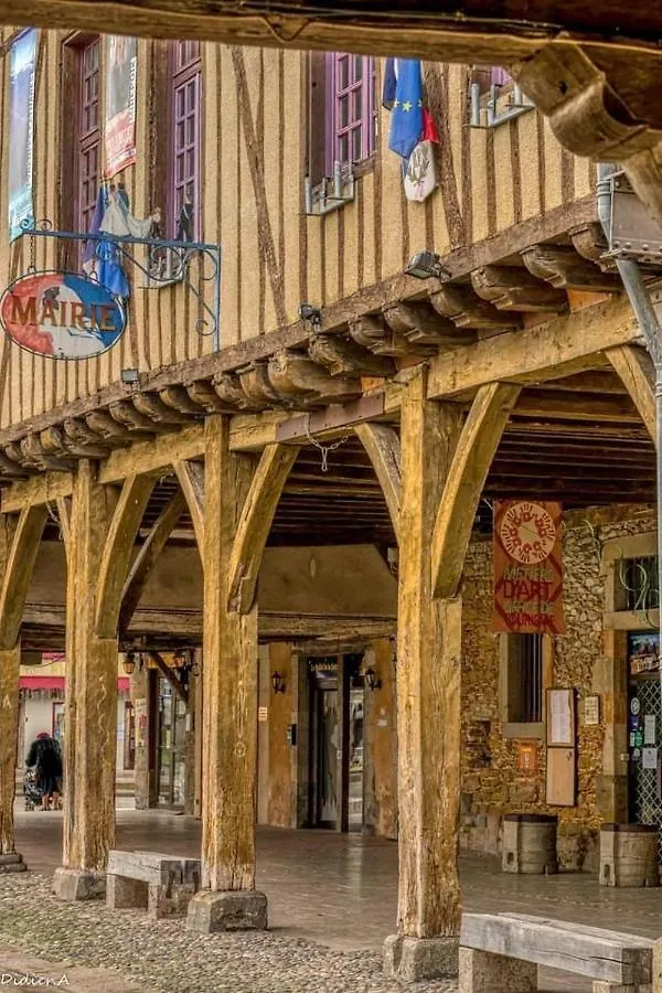 Holiday home Labyrinth Villa Mirepoix  France